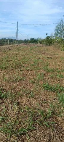 Bất động sản tại Lâm Đồng - ảnh 1