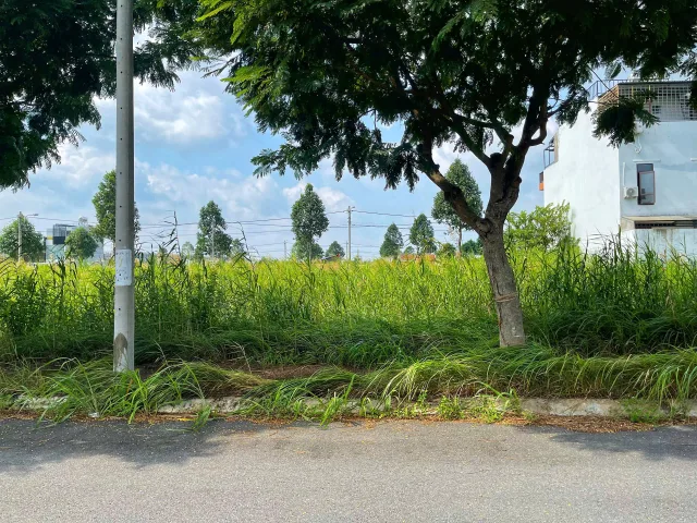 Bất động sản tại Tây Ninh - ảnh 1