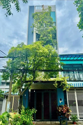 Bất động sản tại Đà Nẵng - ảnh 1