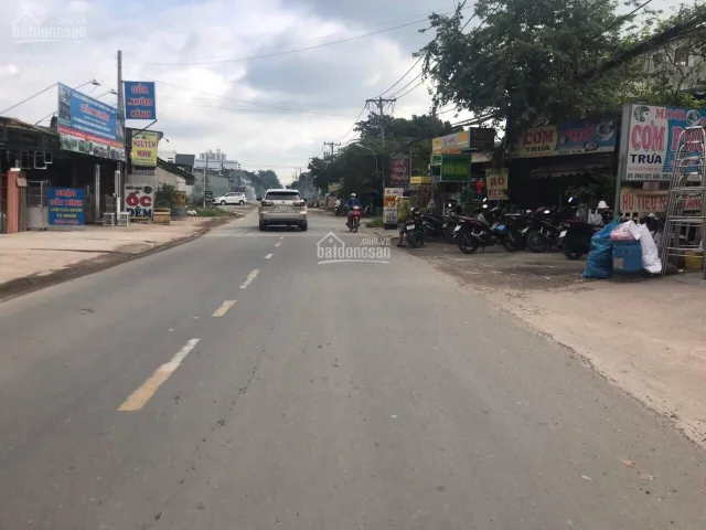 Bất động sản tại Bình Dương - ảnh 1