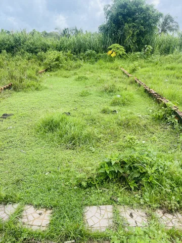 Bất động sản tại Vĩnh Long - ảnh 1