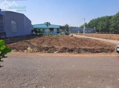 Bất động sản tại Bình Dương - ảnh 1
