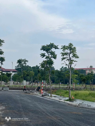 Bất động sản tại Phú Thọ - ảnh 1