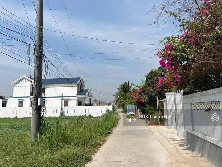 Bất động sản tại Long An - ảnh 1