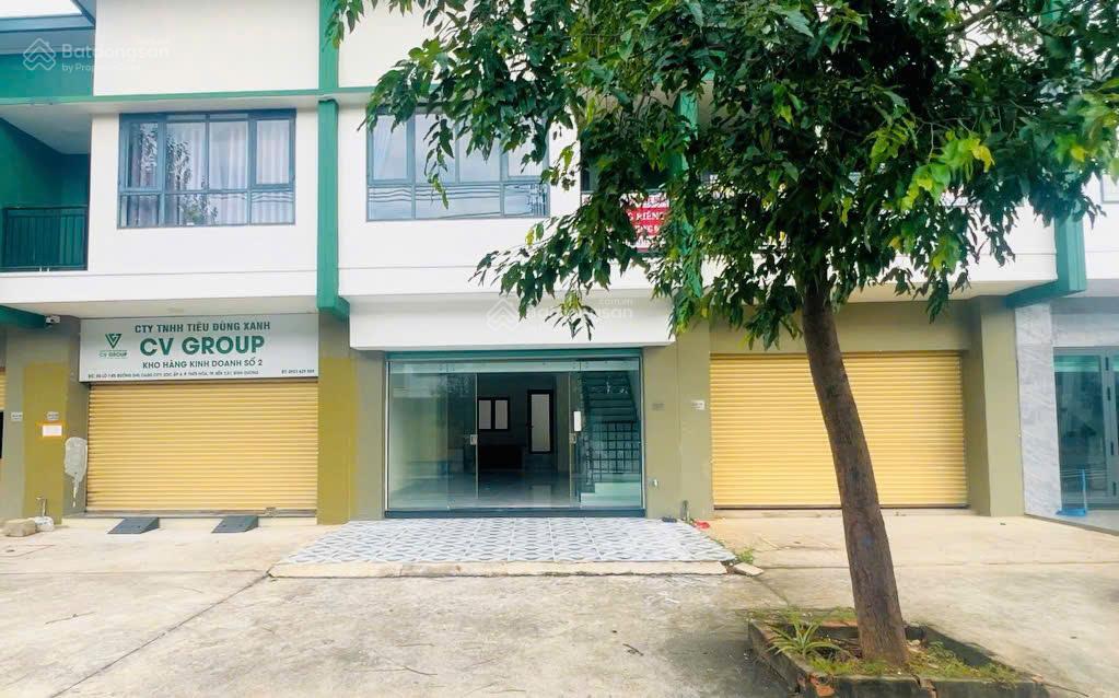 Bất động sản tại Bình Dương - ảnh 1