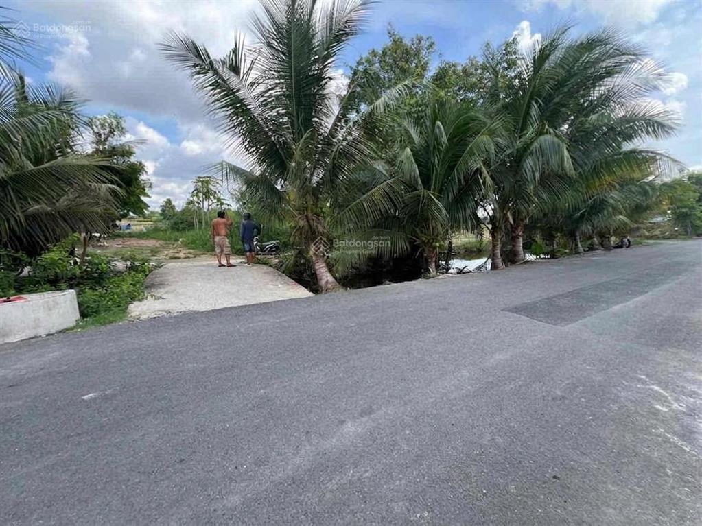 Bất động sản tại Long An - ảnh 1