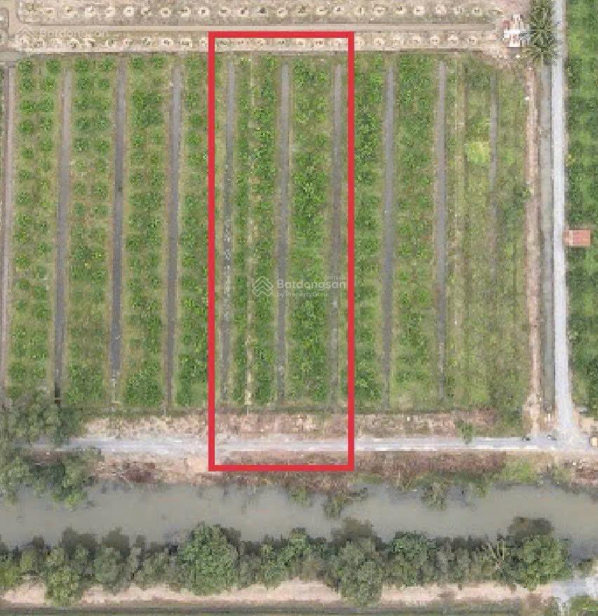 Bất động sản tại Long An - ảnh 1