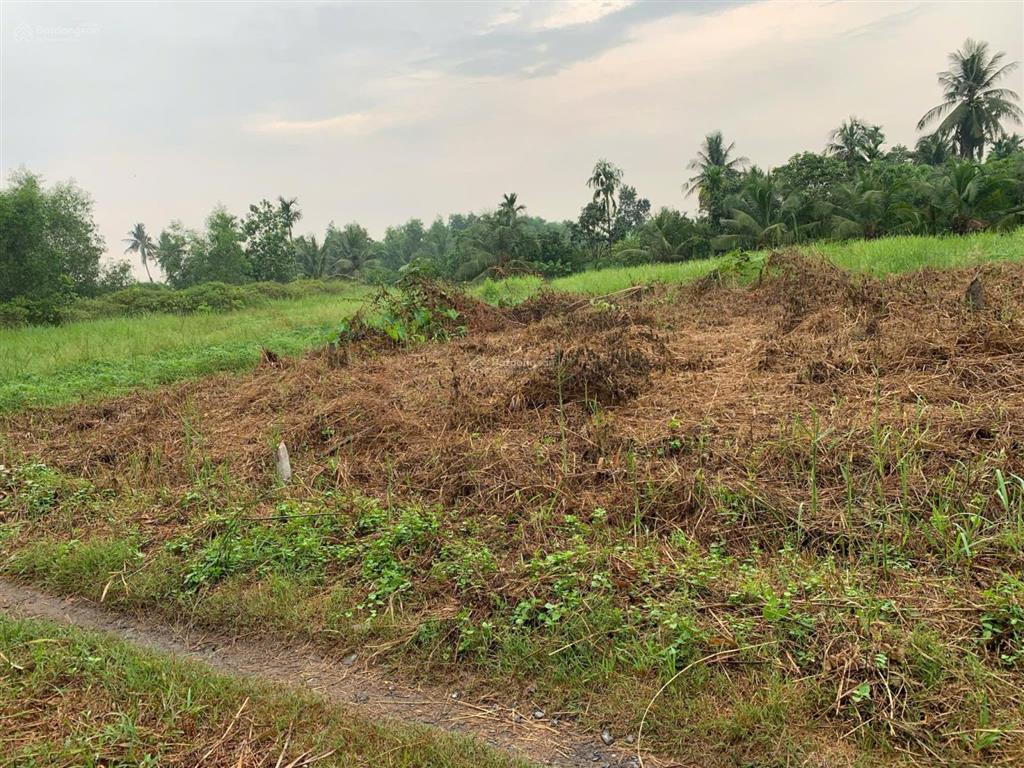 Bất động sản tại Long An - ảnh 1