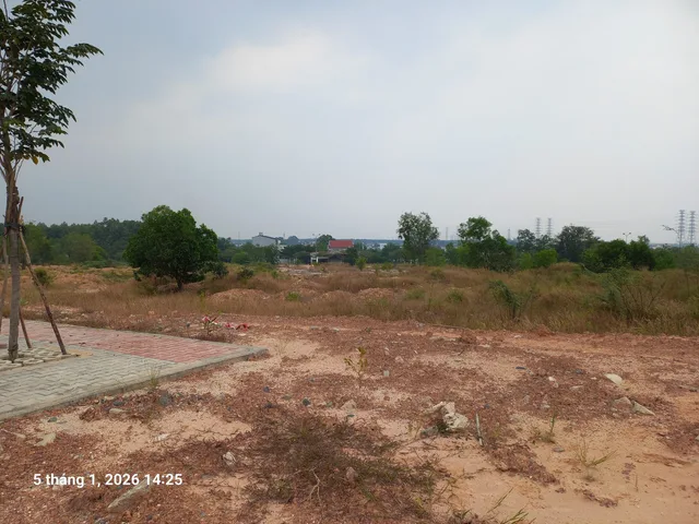 Bất động sản tại Đồng Nai - ảnh 1