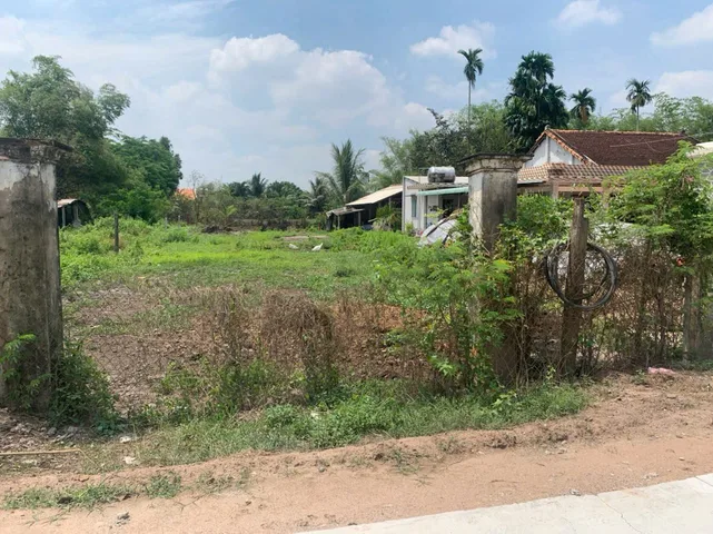 Bất động sản tại Long An - ảnh 1