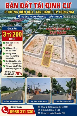 Bất động sản tại Đồng Nai - ảnh 1