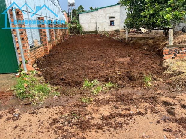 Bất động sản tại Đắk Lắk - ảnh 1