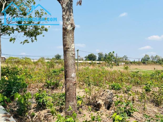 Bất động sản tại Đắk Lắk - ảnh 1