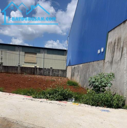 Bất động sản tại Đắk Lắk - ảnh 1