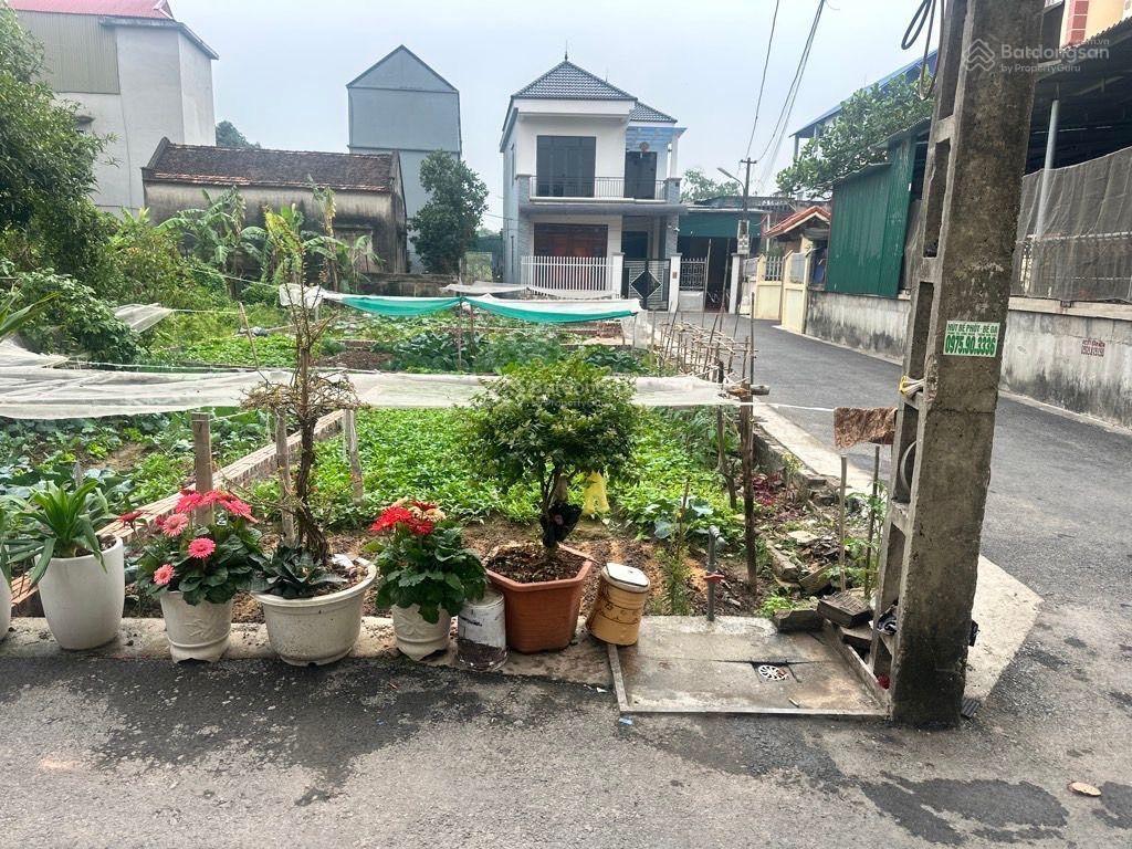 Bất động sản tại Hưng Yên - ảnh 1