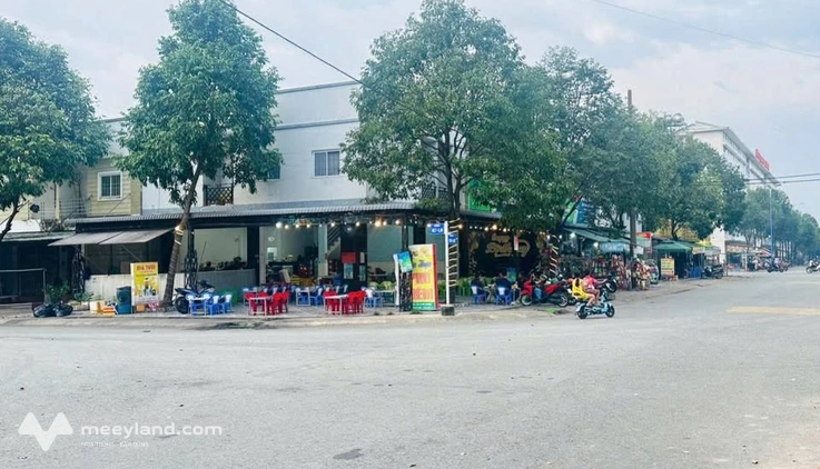 Bất động sản tại Bình Dương - ảnh 1