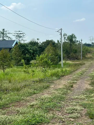 Bất động sản tại Đồng Nai - ảnh 1