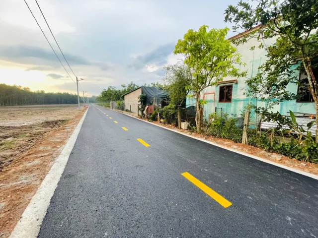 Bất động sản tại Bình Dương - ảnh 1