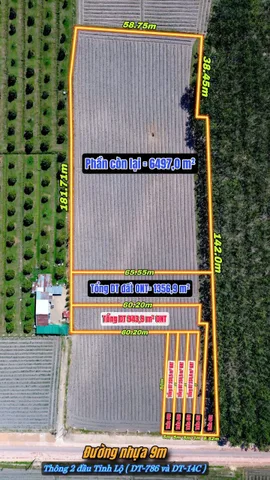 Bất động sản tại Tây Ninh - ảnh 1