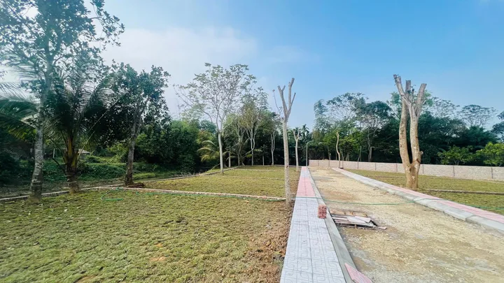 Bất động sản tại Phú Thọ - ảnh 1