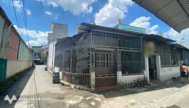 Bất động sản tại Bình Dương - ảnh 1