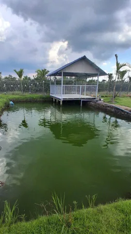 Bất động sản tại Long An - ảnh 1
