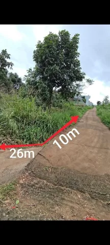Bất động sản tại Đắk Lắk - ảnh 1