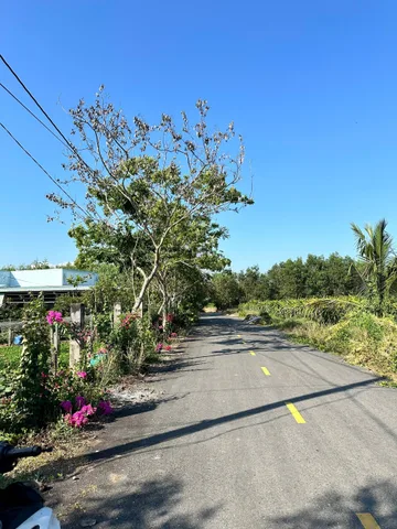 Bất động sản tại Bà Rịa - Vũng Tàu - ảnh 1
