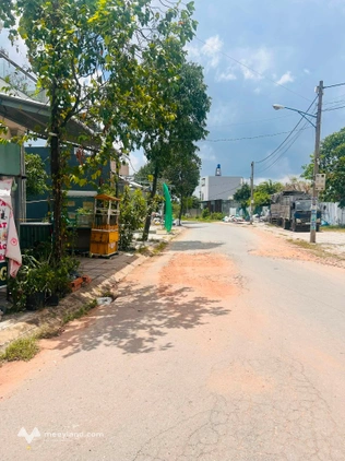 Bất động sản tại Long An - ảnh 1