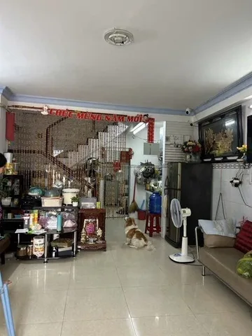 Bất động sản tại TP. Hồ Chí Minh - ảnh 1