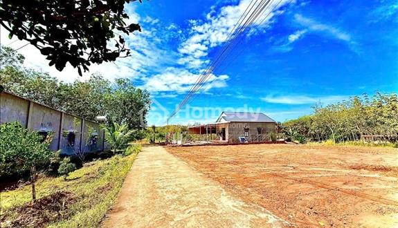 Bất động sản tại Bình Phước - ảnh 1