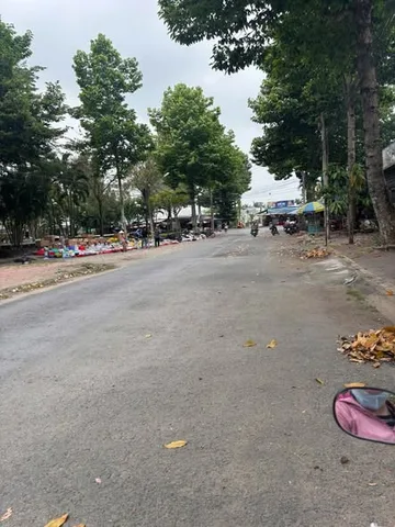 Bất động sản tại Vĩnh Long - ảnh 1