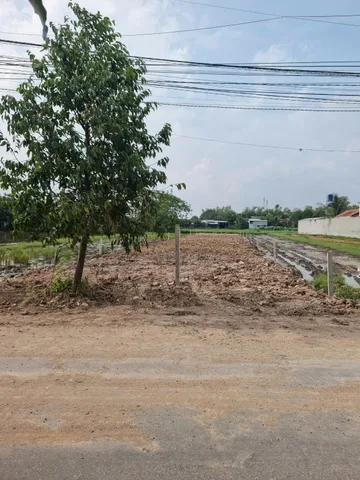 Bất động sản tại Long An - ảnh 1