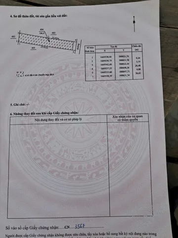 Bất động sản tại Quảng Ngãi - ảnh 1