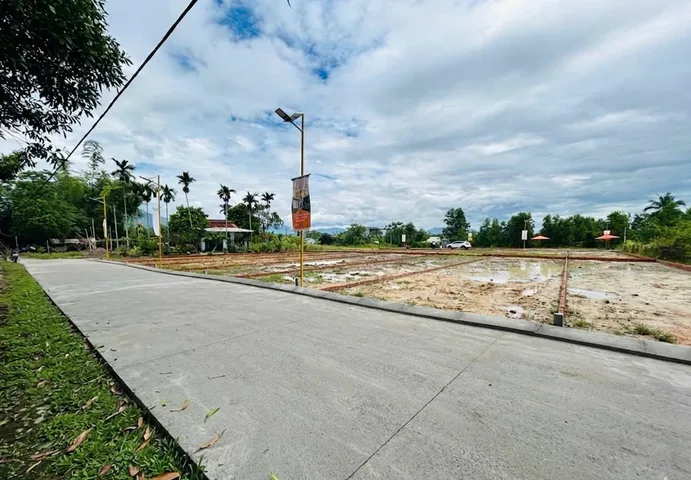 Bất động sản tại Đà Nẵng - ảnh 1