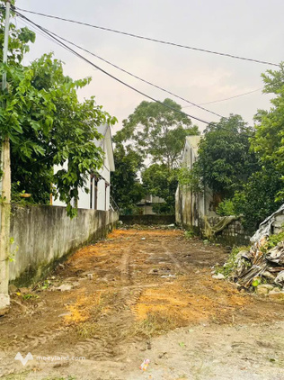 Bất động sản tại Thái Nguyên - ảnh 1
