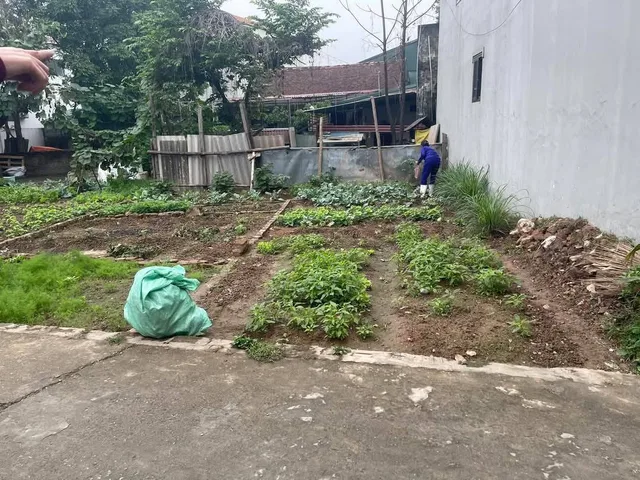 Bất động sản tại Hưng Yên - ảnh 1