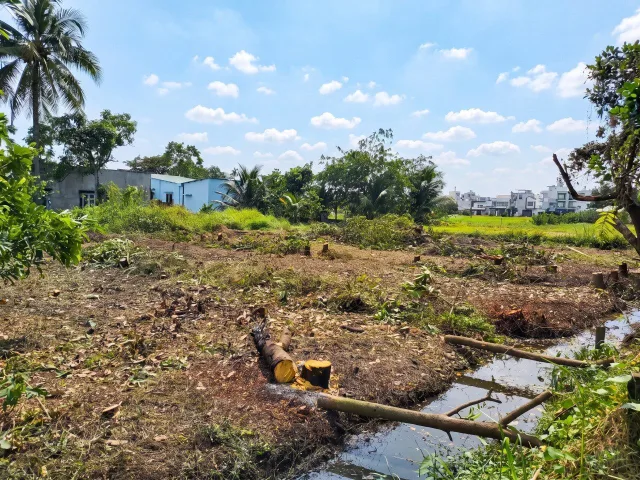 Bất động sản tại TP. Hồ Chí Minh - ảnh 1