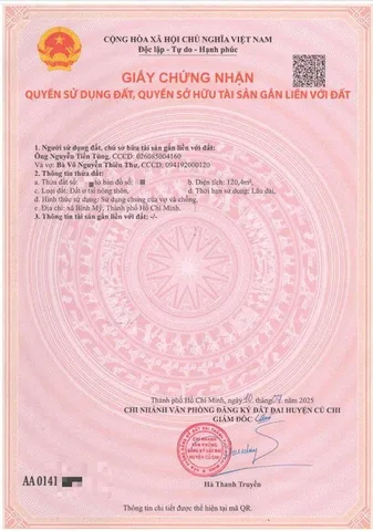 Bất động sản tại TP. Hồ Chí Minh - ảnh 1