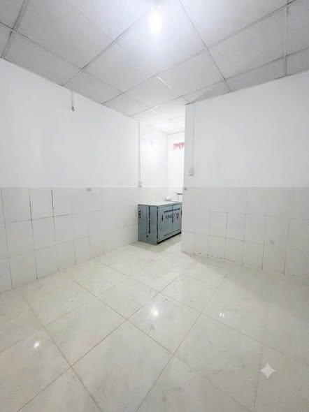 Bất động sản tại Bình Dương - ảnh 1