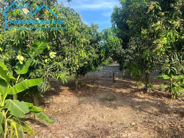 Bất động sản tại Khánh Hòa - ảnh 1