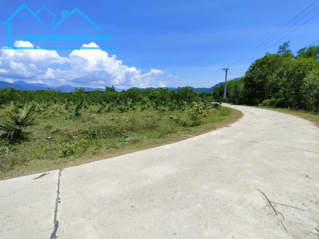 Bất động sản tại Khánh Hòa - ảnh 1
