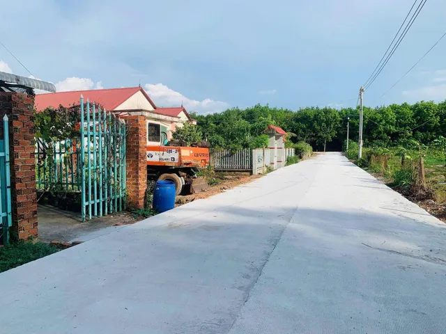 Bất động sản tại Bình Dương - ảnh 1