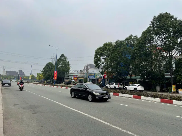 Bất động sản tại Bình Dương - ảnh 1