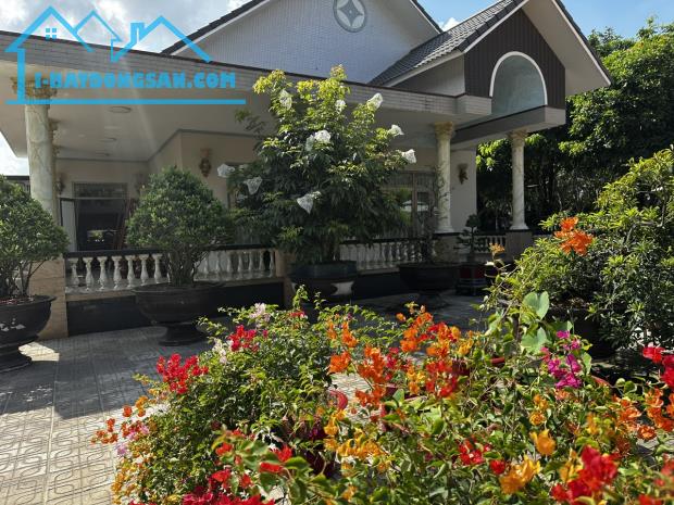 Bất động sản tại Long An - ảnh 1