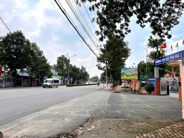 Bất động sản tại Bình Dương - ảnh 1