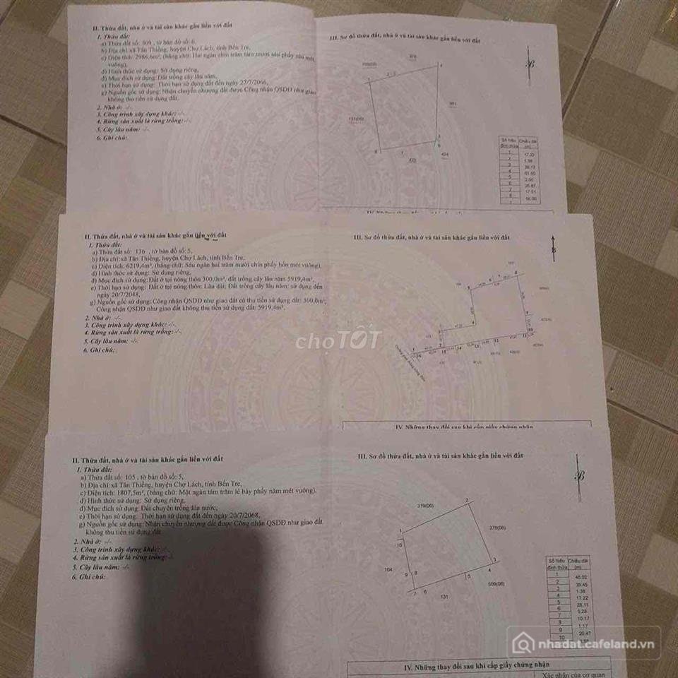 Bất động sản tại Tuyên Quang - ảnh 1