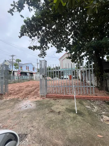 Bất động sản tại Bình Dương - ảnh 1