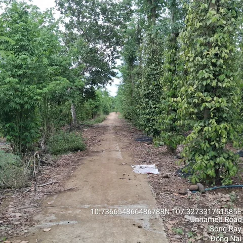 Bất động sản tại Đồng Nai - ảnh 1