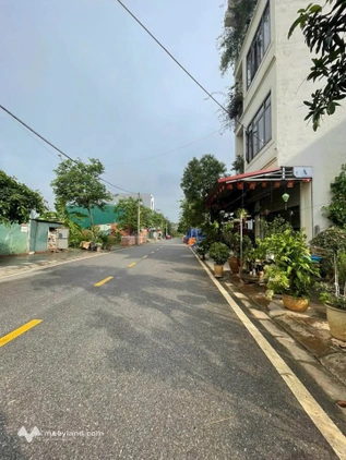 Bất động sản tại Vĩnh Phúc - ảnh 1
